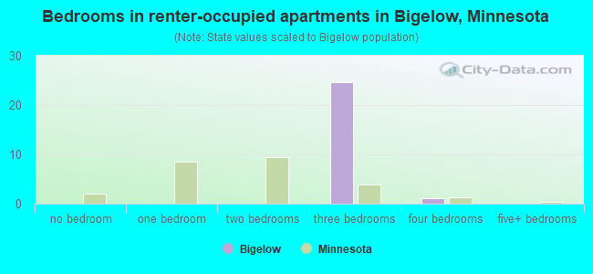 Bedrooms in renter-occupied apartments in Bigelow, Minnesota