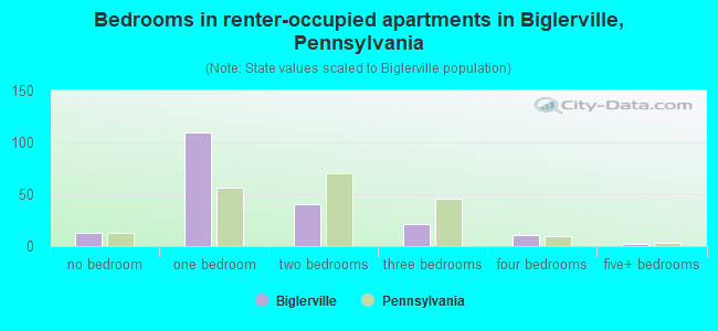 Bedrooms in renter-occupied apartments in Biglerville, Pennsylvania