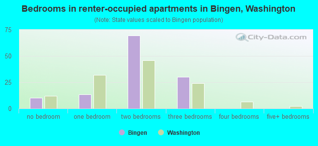 Bedrooms in renter-occupied apartments in Bingen, Washington