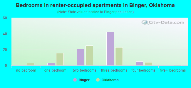 Bedrooms in renter-occupied apartments in Binger, Oklahoma