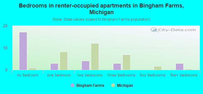 Bedrooms in renter-occupied apartments in Bingham Farms, Michigan