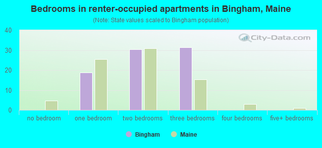 Bedrooms in renter-occupied apartments in Bingham, Maine