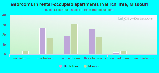 Bedrooms in renter-occupied apartments in Birch Tree, Missouri