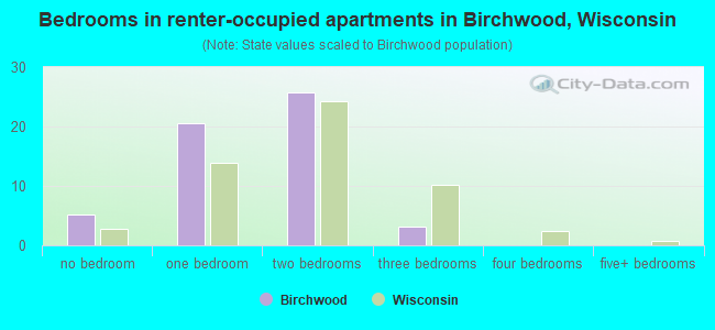 Bedrooms in renter-occupied apartments in Birchwood, Wisconsin