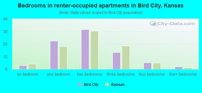 Bedrooms in renter-occupied apartments in Bird City, Kansas