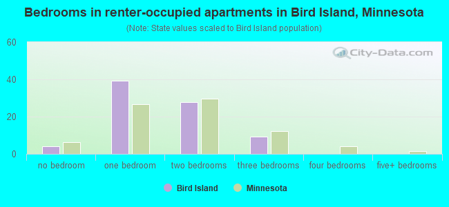 Bedrooms in renter-occupied apartments in Bird Island, Minnesota