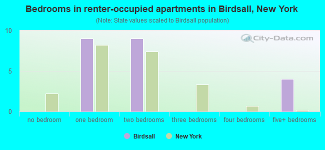 Bedrooms in renter-occupied apartments in Birdsall, New York
