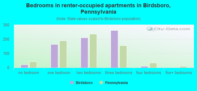 Bedrooms in renter-occupied apartments in Birdsboro, Pennsylvania
