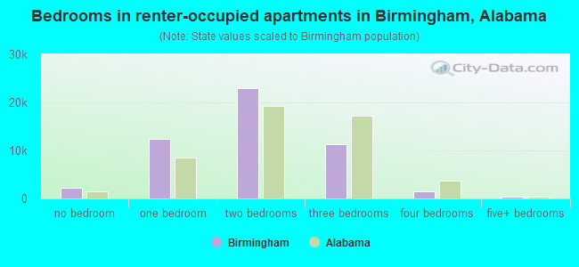 Bedrooms in renter-occupied apartments in Birmingham, Alabama