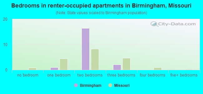Bedrooms in renter-occupied apartments in Birmingham, Missouri