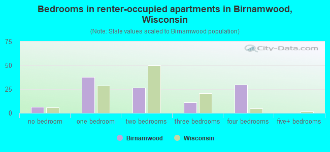 Bedrooms in renter-occupied apartments in Birnamwood, Wisconsin