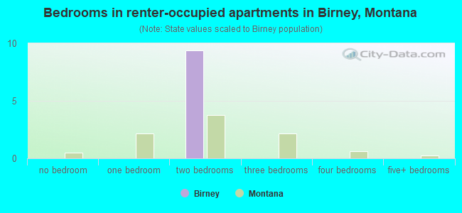 Bedrooms in renter-occupied apartments in Birney, Montana