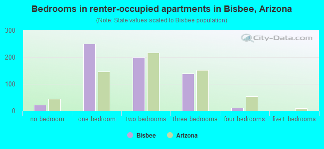 Bedrooms in renter-occupied apartments in Bisbee, Arizona