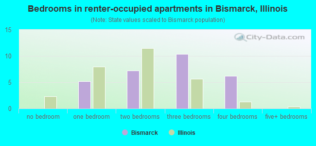 Bedrooms in renter-occupied apartments in Bismarck, Illinois