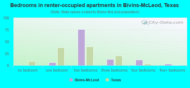 Bedrooms in renter-occupied apartments in Bivins-McLeod, Texas
