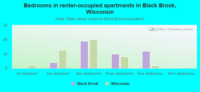 Bedrooms in renter-occupied apartments in Black Brook, Wisconsin