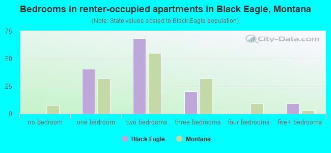 Bedrooms in renter-occupied apartments in Black Eagle, Montana