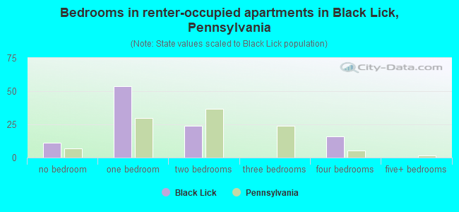 Bedrooms in renter-occupied apartments in Black Lick, Pennsylvania
