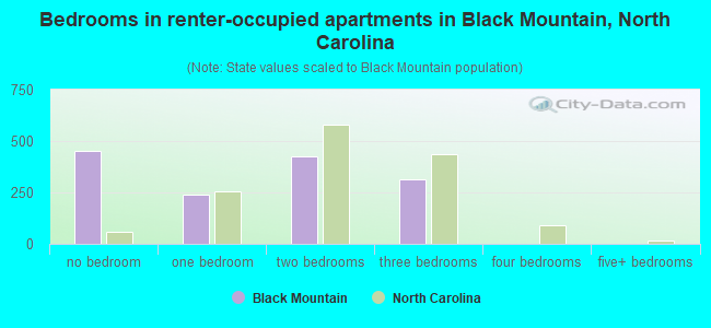 Bedrooms in renter-occupied apartments in Black Mountain, North Carolina
