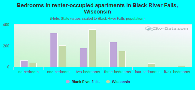 Bedrooms in renter-occupied apartments in Black River Falls, Wisconsin