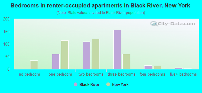 Bedrooms in renter-occupied apartments in Black River, New York