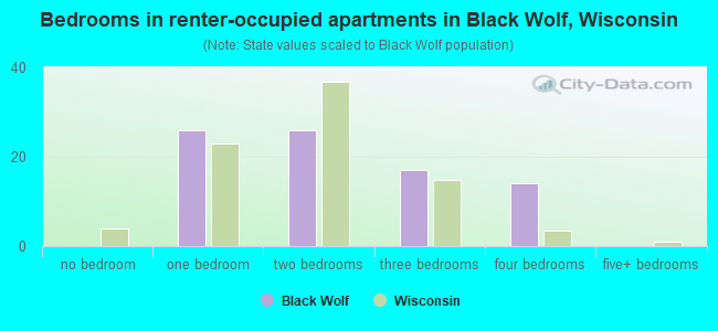 Bedrooms in renter-occupied apartments in Black Wolf, Wisconsin