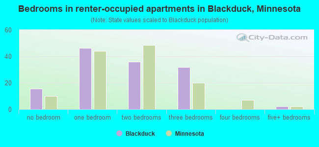 Bedrooms in renter-occupied apartments in Blackduck, Minnesota