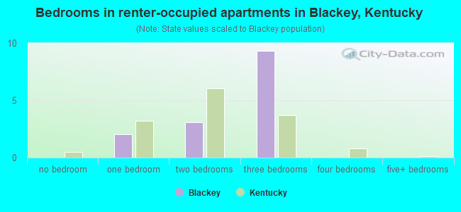 Bedrooms in renter-occupied apartments in Blackey, Kentucky