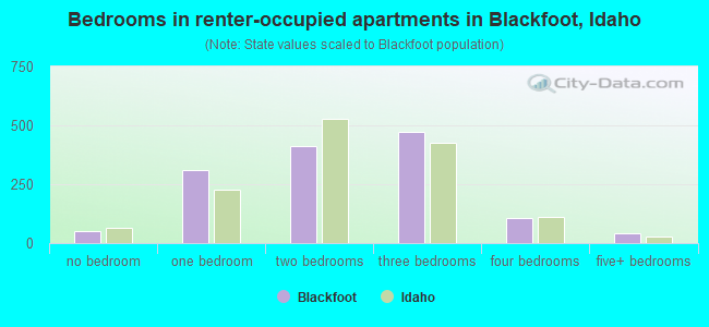 Bedrooms in renter-occupied apartments in Blackfoot, Idaho