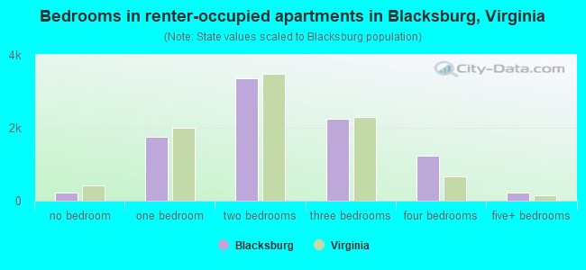 Bedrooms in renter-occupied apartments in Blacksburg, Virginia