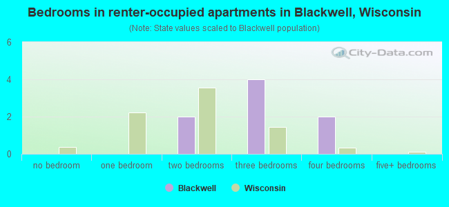 Bedrooms in renter-occupied apartments in Blackwell, Wisconsin