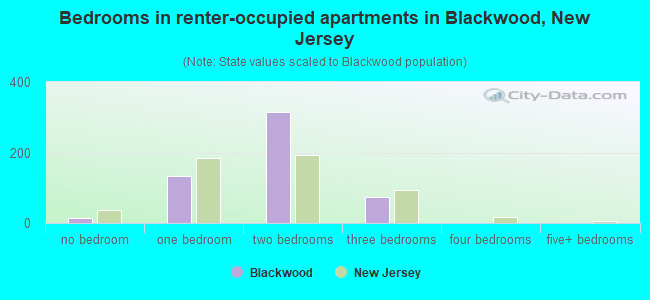 Bedrooms in renter-occupied apartments in Blackwood, New Jersey