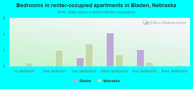 Bedrooms in renter-occupied apartments in Bladen, Nebraska