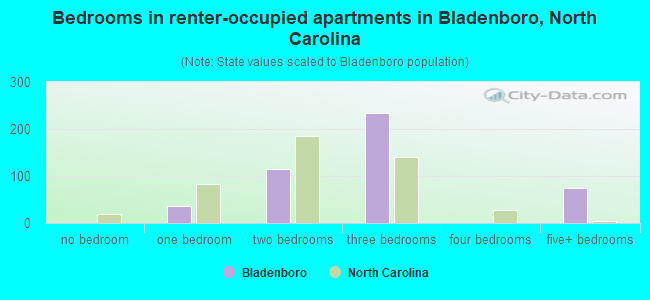 Bedrooms in renter-occupied apartments in Bladenboro, North Carolina