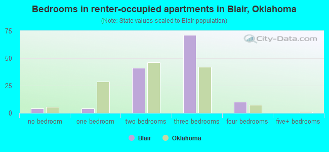 Bedrooms in renter-occupied apartments in Blair, Oklahoma