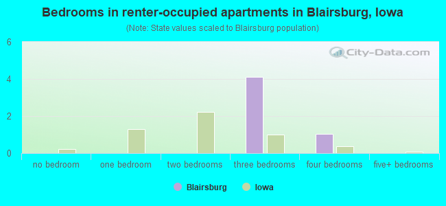 Bedrooms in renter-occupied apartments in Blairsburg, Iowa