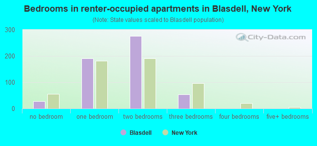 Bedrooms in renter-occupied apartments in Blasdell, New York