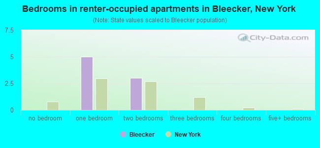 Bedrooms in renter-occupied apartments in Bleecker, New York