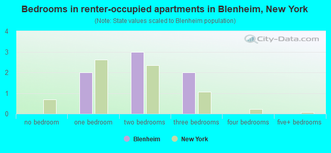 Bedrooms in renter-occupied apartments in Blenheim, New York