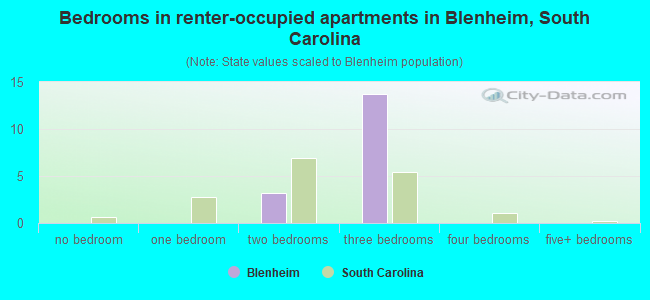 Bedrooms in renter-occupied apartments in Blenheim, South Carolina