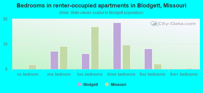 Bedrooms in renter-occupied apartments in Blodgett, Missouri