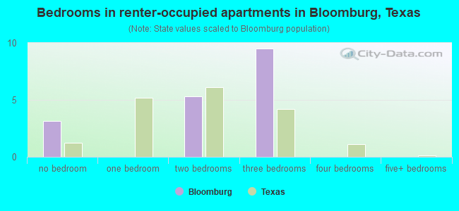 Bedrooms in renter-occupied apartments in Bloomburg, Texas