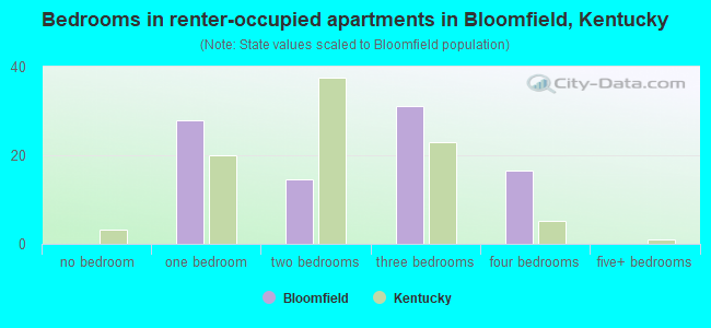 Bedrooms in renter-occupied apartments in Bloomfield, Kentucky