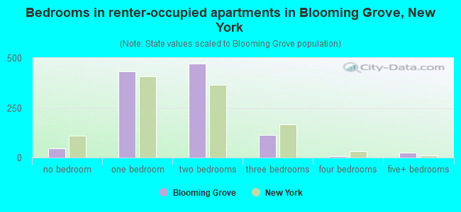 Bedrooms in renter-occupied apartments in Blooming Grove, New York