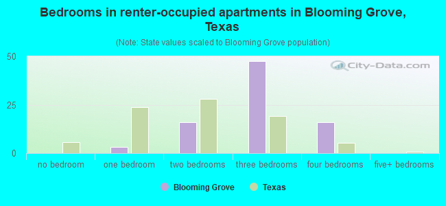 Bedrooms in renter-occupied apartments in Blooming Grove, Texas