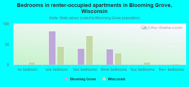 Bedrooms in renter-occupied apartments in Blooming Grove, Wisconsin