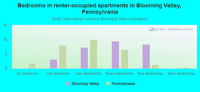 Bedrooms in renter-occupied apartments in Blooming Valley, Pennsylvania