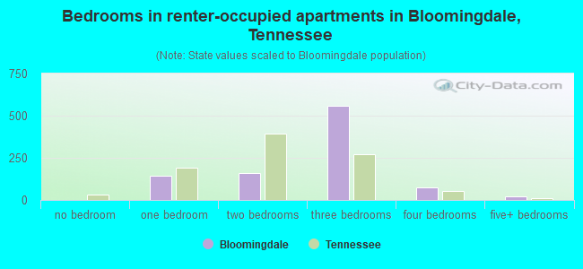 Bedrooms in renter-occupied apartments in Bloomingdale, Tennessee