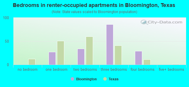 Bedrooms in renter-occupied apartments in Bloomington, Texas