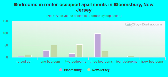 Bedrooms in renter-occupied apartments in Bloomsbury, New Jersey